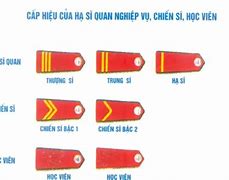 Cấp Bậc Quân Hàm Tiếng Anh Là Gì