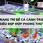 Trang Trí Hồ Cá Cảnh